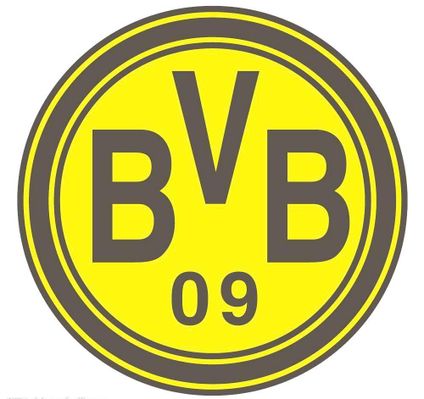 的一些欠缺 的一些欠缺